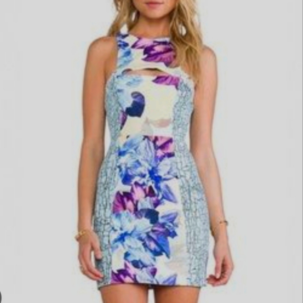 Bec and bridge anenome dress